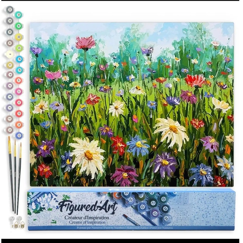 Figured'Art Paint by Numbers Kit Floral Meadow Wildflowers DIY Canvas 16x20